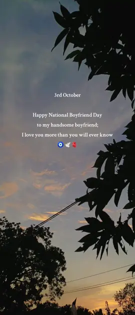 Happy National Boyfriend Day 🥺💙🫀🕊 #lotoflove #fyp #fypviralシ #nationalboyfriendday #onemillionaudition 