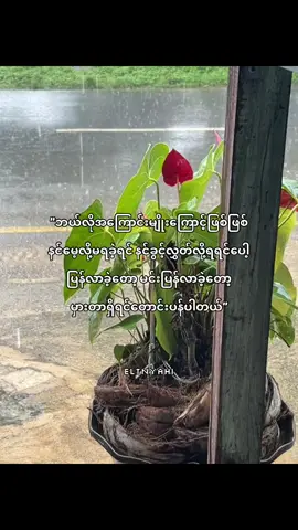 #fypviralシ #fypviraltiktok🖤シ゚☆♡ #tiktokviral #eltn_yahi810 #Love 