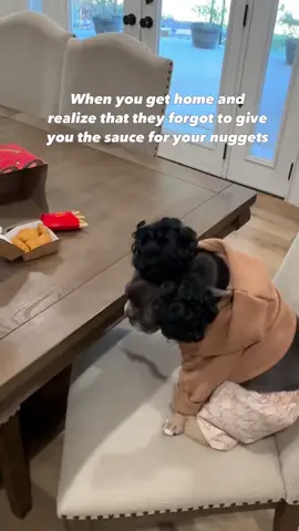Ronald, look into these eyes and tell her she’s supposed to eat dry nuggets… I’ll wait  #DogTok #McDonalds #Sauce #Heartbreak