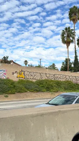 Yo who tags these up around LA on the 101, they’re dope! #graffitiart #graffiti #debbiedeb #tag #edm