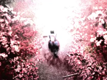 silent hill f // #fyp #viral #edit #aesthetic #silenthill 