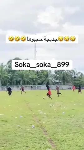 🤣🤣🤣