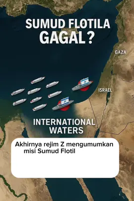 #freepalestine🇵🇸❤️ #freefire_lover #globalsumudflotilla #istandwithpalestine 