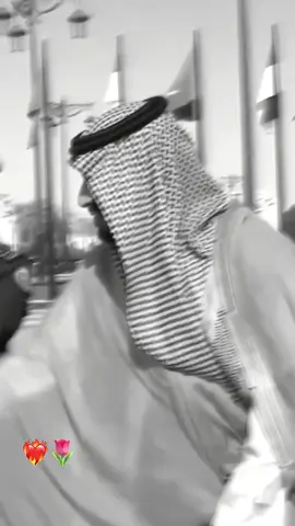 #mohamad_bin_salman #محمد_بن_سلمان #creatorsearchinsights #المملكه_العربيه_السعوديه🇸🇦 #ksa 