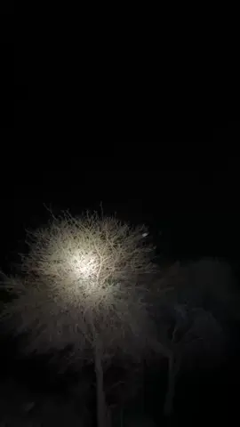 #2023 #قنص 