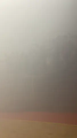 🖤❤️💛🇲🇽