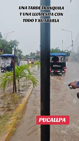 #viral #lluvia #pucallpa #caiman 
