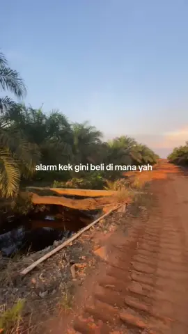 beli di mana yah?