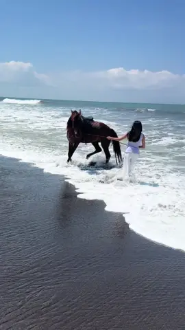 خيل وبحر❤️ #خيل_وخياله🐎 #بحر #fyp #foryoupage 
