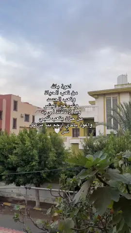 #🤍🤍🤍  #قران . 