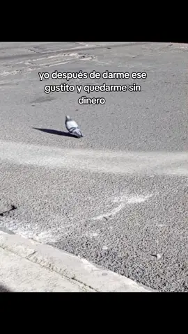 me quedé sin plata:(#fyp #vuelve #money #contenido #dinero 