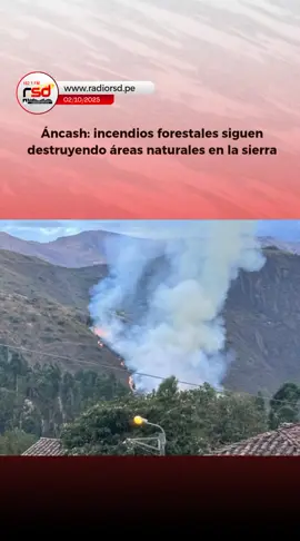 🔴 #RSD | Los incendios forestales siguen destruyendo áreas naturales en la sierra de Áncash. Han sido afectadas recientemente 12 hectáreas de pastizales y arbustos en el distrito de Llama, en la provincia de Mariscal Luzuriaga, en la sierra de la región.