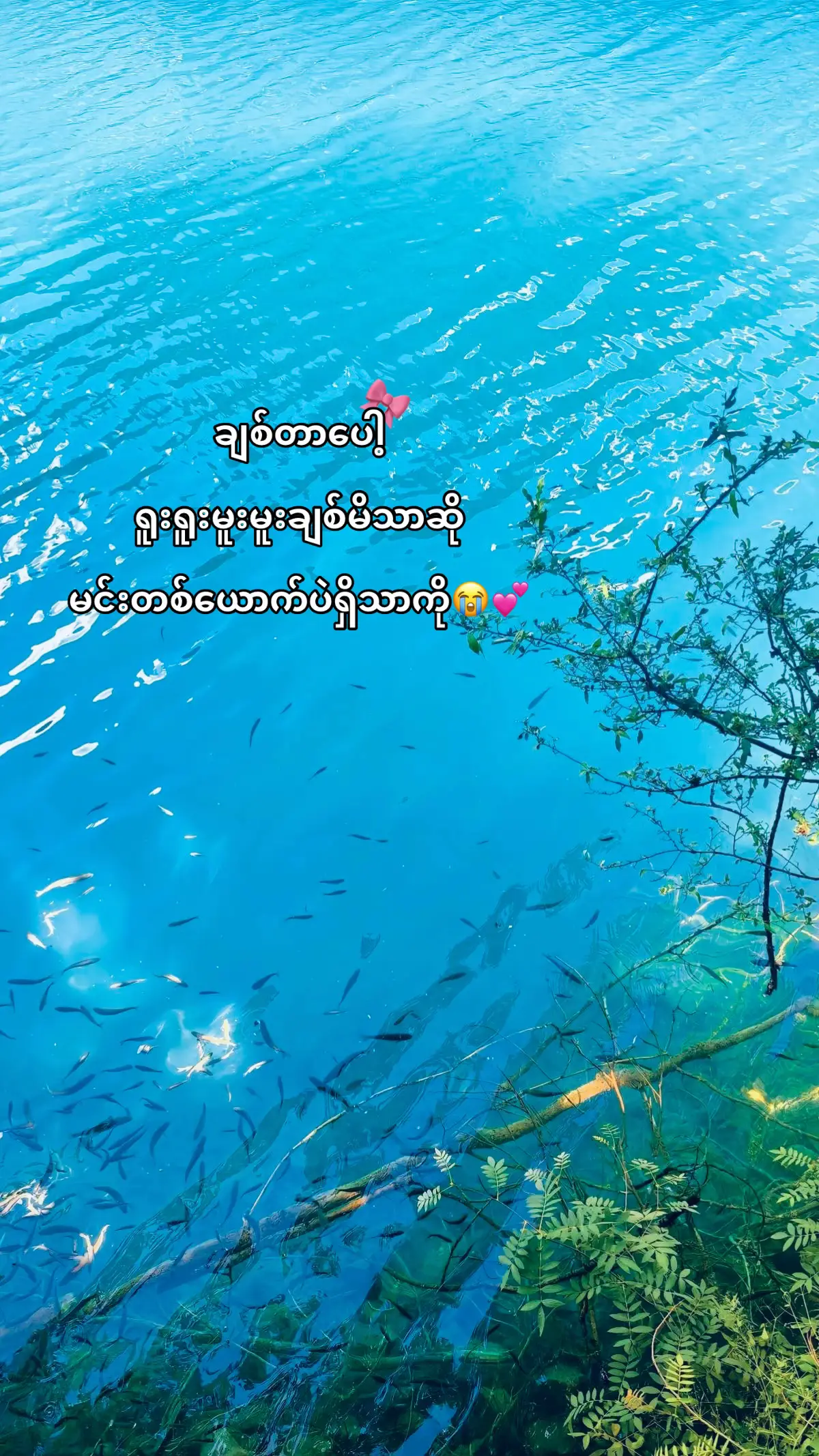 #စာတို #fppppppppppppppppppp #viewsproblem 