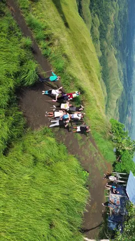 Good morning TAPP #tamangpitik #tamangpitikhikingexperience #aliciapanoramicpark #joiners #Hiking @Gagong Click 
