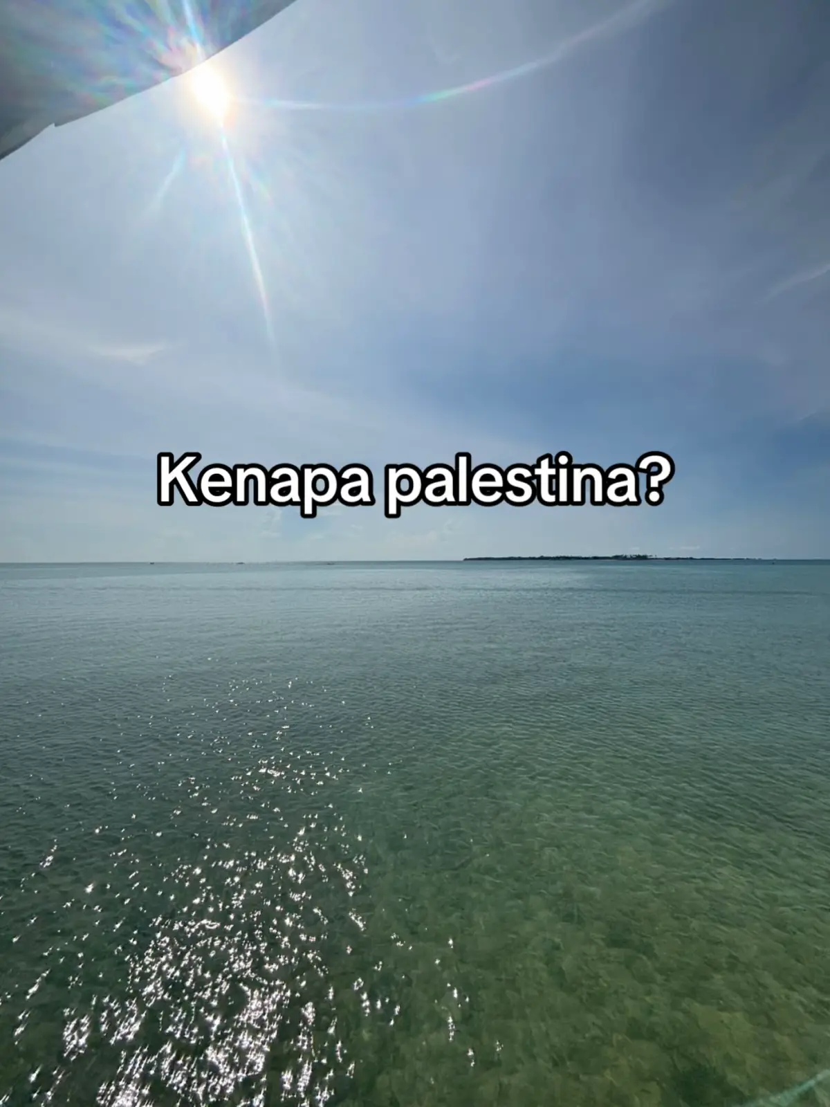 Semoga fyp #palestine🇵🇸❤️ #savepalestine 
