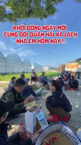 Khởi động ngày mới cùng đội quân hái rau xà lách trong hau-xừ nhà em hôm nay. Nhà em bắt đầu nhận đơn lao động thời vụ tháng 11 từ hôm nay ! #laodongthoivuhanquoc #codauviettaihanquoc #xuhuong 