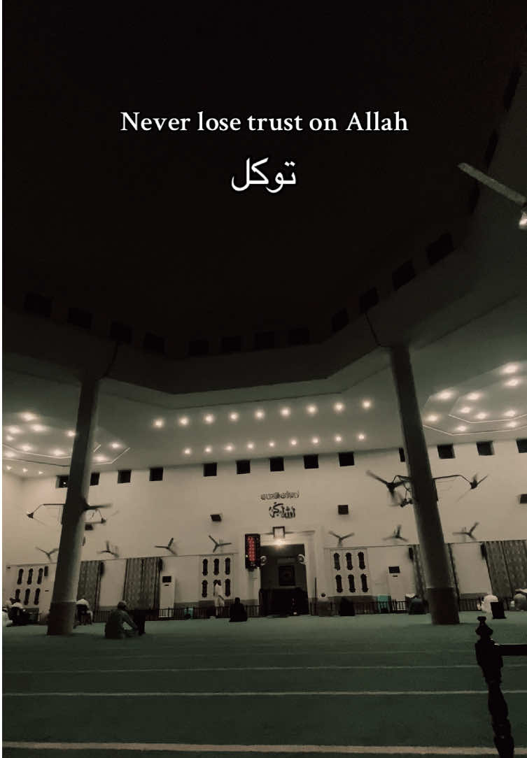 توکل♥️.#quran #byshak #islamic_video #allah❤️ #lines 