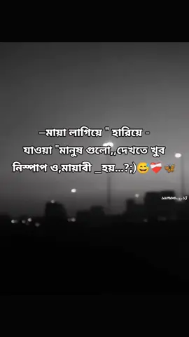 –মায়া লাগিয়ে 