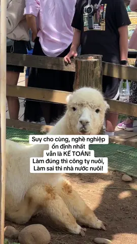 Đúng vại! #mongoland #dalat #quote  #vuinhon 