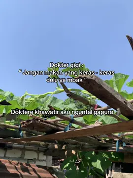 Aman dok #storyjowo  