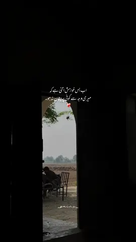 Koi pareshn na ho. ❤️‍🩹 #viralvideo #fyp #foryou #urdupoetry #foryoupage 