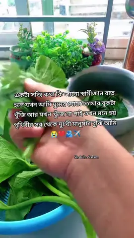 #দুবাই_প্রবাসীর_বউ✈🇦🇪✈️ @Abdul Salam 