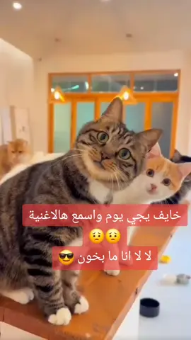 للضحك_فقط#CapCut #tiktok #الشعب_الصيني_ماله_حل😂😂 #livehighlights #tiktoklive 