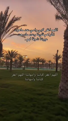 #اللهم أرحم أمي وأبي وجميع موتى المسلمين 