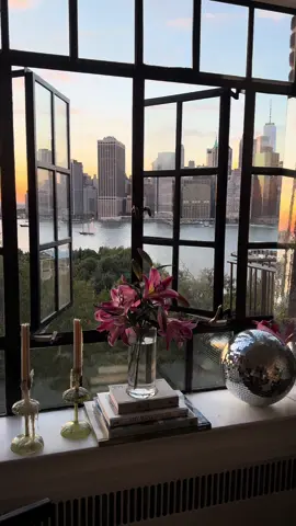 pink lilies, pink skies 