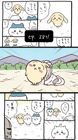 #chiikawa #chiikawausagi #chiikawaanime #fyp #fypシ 