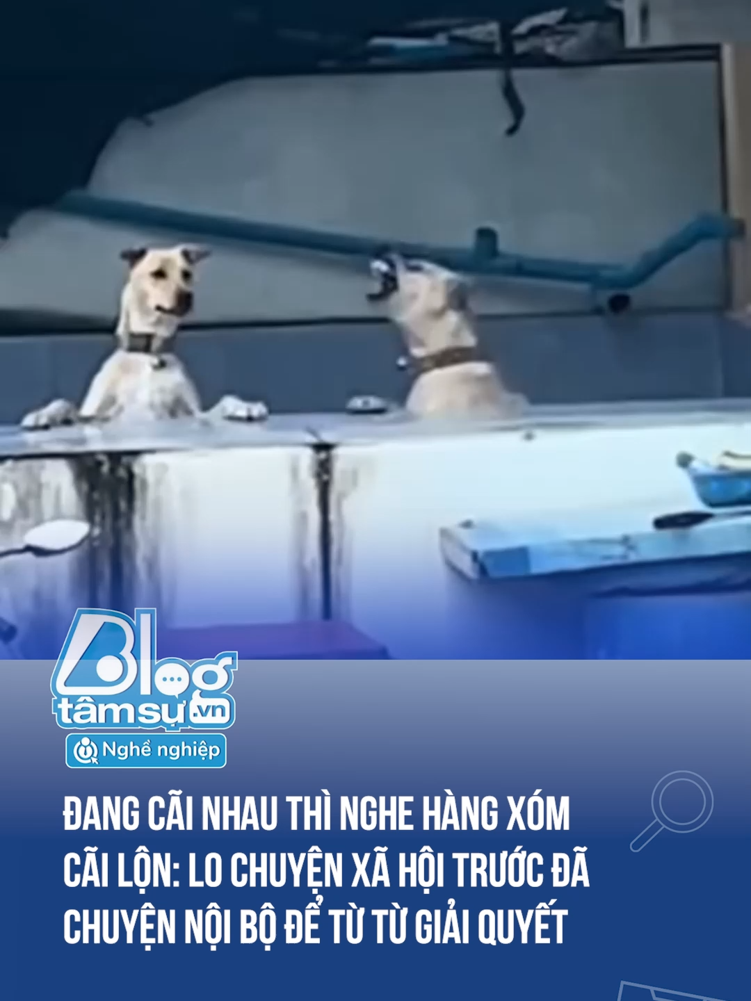 Hóng không sót 1 drama nào trong xóm 🤣🤣🤣 #discovery #blogtamsu #xuhuong #btsmedia #tiktoknews #funfact #viral #dangyeu #haihuoc #cho #drama