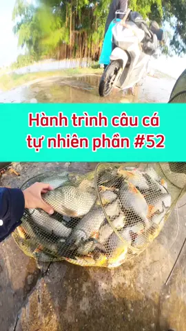 Hành trình câu cá tự nhiên phần 52 : những kỷ lục mới 🤩 #caucagiaitri🎣 #caucatunhien🥰 #moicaukimlong #kimlongcauladinh #cauca 