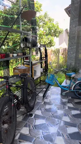 Vậy nha. 