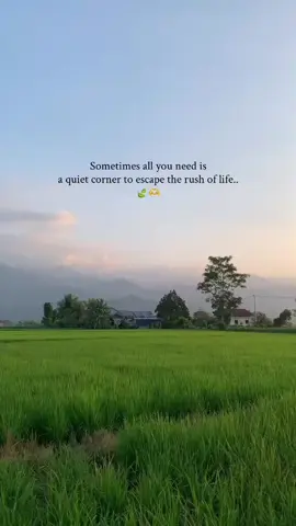#aestheticsx_01 #foryou #Love #foryoupage #fyp 