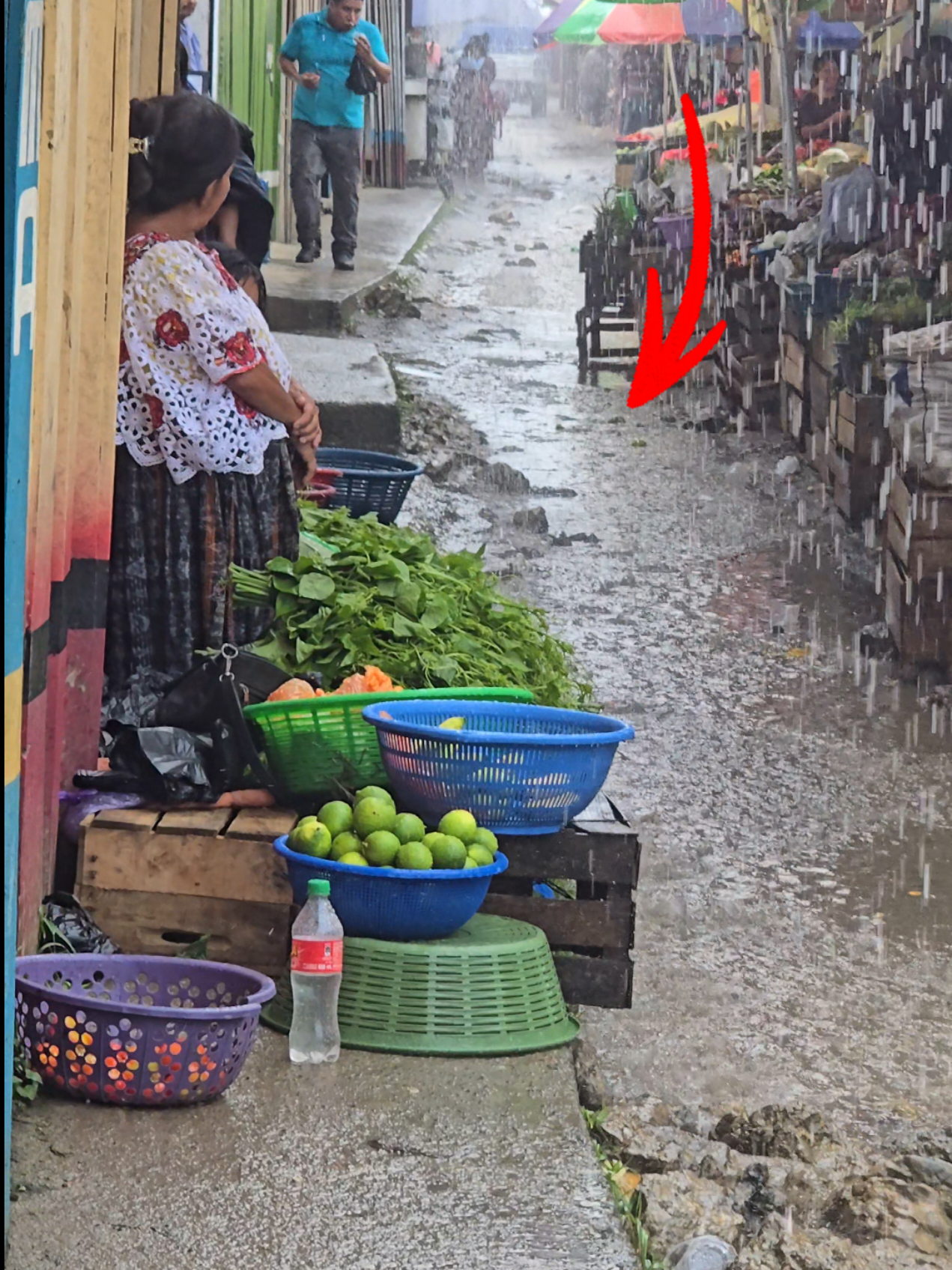 📍MERCADO LANCETILLO LA PARROQUIA. #zonareyna💯 