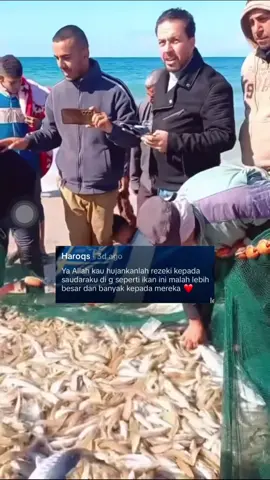 Dik @Haroqs Allah dah makbulkan doa adik. Walaupun coklat adik tak sempat sampai tapi Allah dah hantar ribuan ikan buat warga G berkat doa adik 🥺😭🤲🏻 Semoga semua team GSF dalam lindungan & rahmat Allah S.W.T.. Allahuakbar #globalsumudflotilla #sumud #gaza #tiktokmalaysia 