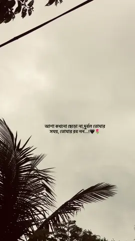 আশা কখনো ছেড়ো না,দুর্বল তোমার সময়, তোমার রব নন...!🖤🌷#fyppppppppppppppppppppppp #Fahim 