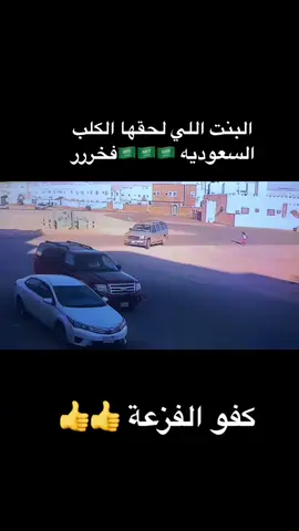 #البنت الي لحقها الكلب  #ونعم في. كمن رجال  #كفو الفزعه#🫡🫡🫡🫡🫡🫡🫡🫡🔥🔥🔥🔥🔥🔥🔥🔥🔥🔥🔥🔥🔥🔥 🫡🫡🫡
