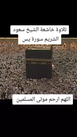 #اللهم_اجعل_القران_ربيع_قلوبنا🍃💚🕊️ #تلاوة_خاشعة #السديس #مكه_المكرمه 