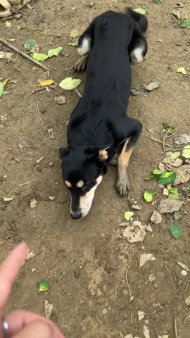 Đẹp trai thế này ngó đầu ra cổng là có đứa nó câu ngay đấy.