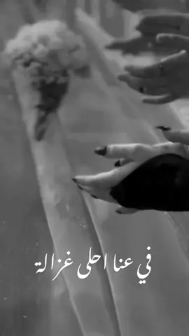 على سبيل السعادة ستتم خطوبة اختي يارب اكتب لها السعادة والفرح🥺🫂