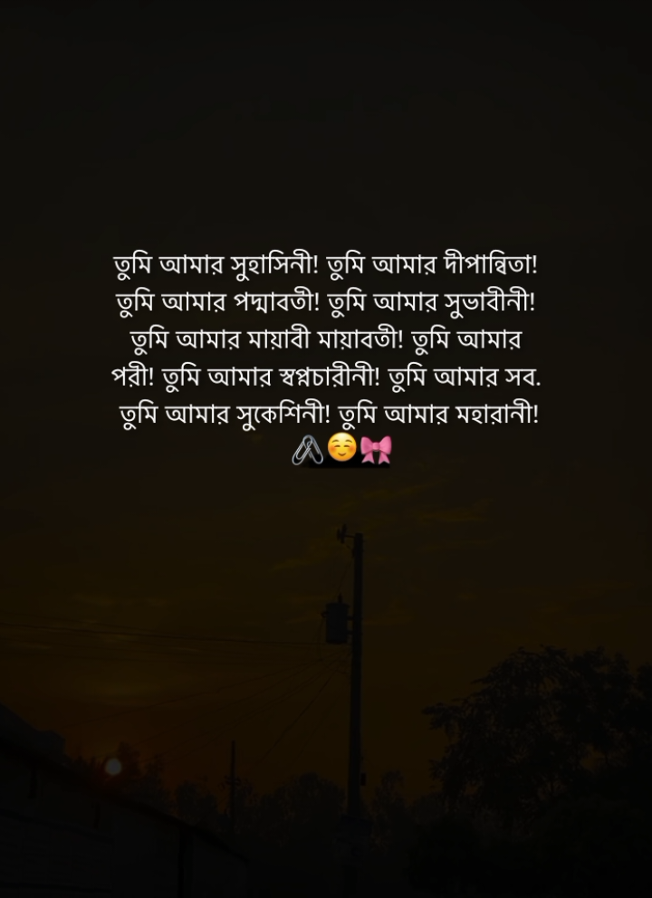 তুমি আমার সুহাসিনী! 💫❤️‍🩹🙂 #asib_for_ever 
