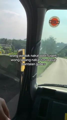 #fypviralシ #trukmaniaindonesia #masukberanda 