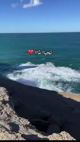 🥰🫀