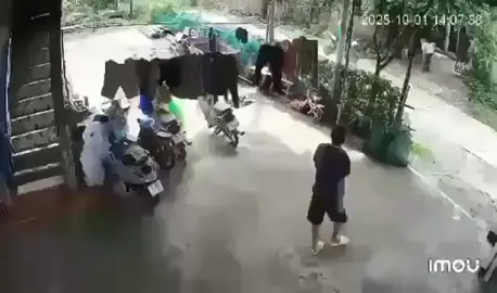 Thấy bảo con dùng 🔪 chém bố mấy phát.