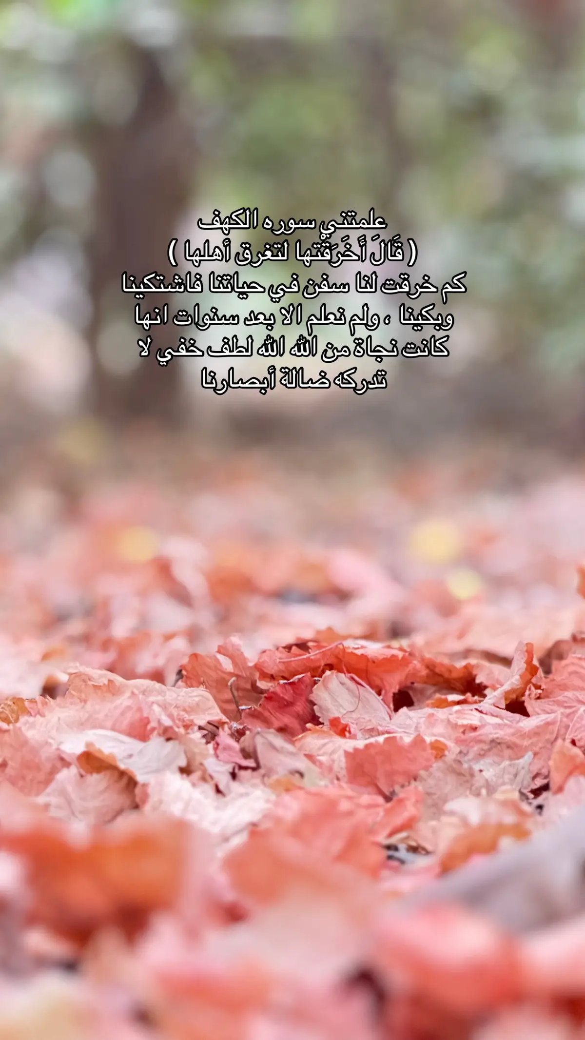 #سعود_الفايز #تلاوات #quran #اللهم_صل_وسلم_على_نبينا_محمد #سورة_الكهف_نور_بين_الجمعتين_الدعاء 
