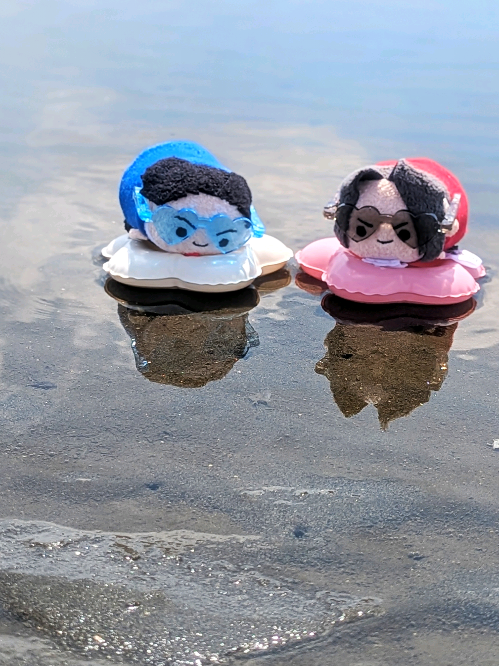 カプころんの海の大冒険🔵🔴 #aceattorney #merch #phoenixwright  #ぬい活 #逆転裁判 