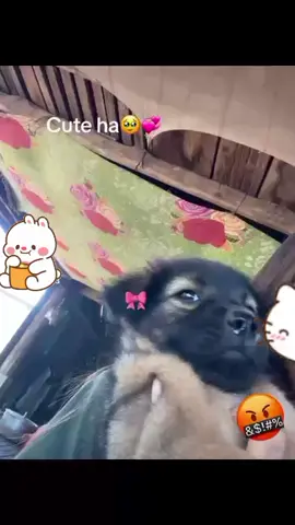 😕💞#fypシ゚ 