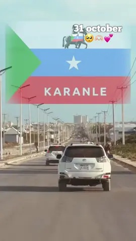 #karanlekibirjabshe #gidirkaranle🦁💪❤️ 