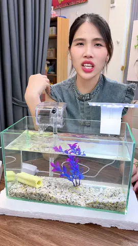 Bể cá mini #becamini #kimthach 